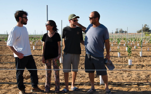 Four members of the Pauker family in the the Kibbutz Nir Oz vineyards, planted by Gideon Pauker before he was murdered by Hamas terrorists on October 7, 2023 (Credit Naama Kaspi)